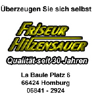 hilzensauervi02