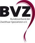 bvzlogo